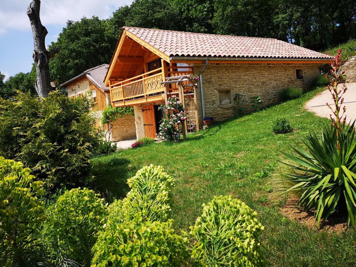 Chalet Le Clos De L'Orme Saint-Lattier Luaran gambar