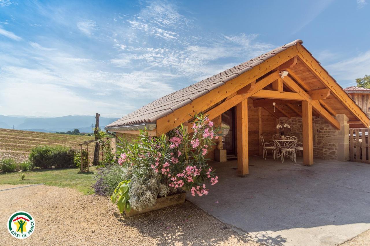 Chalet Le Clos De L'Orme Saint-Lattier Luaran gambar